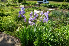 spielesymposium_2012_aichtal_10_20170524_1959458773