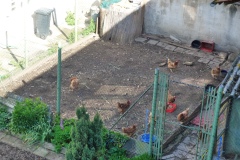 spielesymposium_2012_aichtal_18_20170524_1763879254