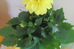 spielesymposium_2012_aichtal_57_20170524_1605543086