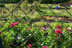 spielesymposium_2012_aichtal_7_20170524_1470322236