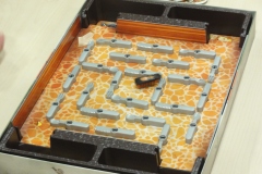 spielesymposium_2013_augsburg_6_20170524_1392216160