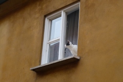 spielesymposium_2013_augsburg_75_20170524_1091315011