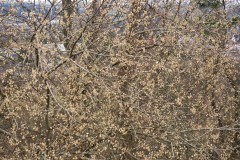 spielesymposium_2014_pforzheim_138_20170525_1608600263