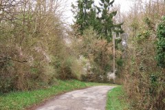 spielesymposium_2014_pforzheim_139_20170525_1648108053