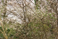 spielesymposium_2014_pforzheim_140_20170525_2002222379