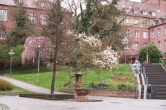 spielesymposium_2014_pforzheim_51_20170525_1746374910