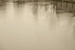 spielesymposium_2014_pforzheim_73_20170525_1635304382