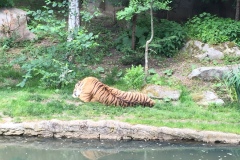 spielesymposium_2015_leipzig_4_20170525_1499457888