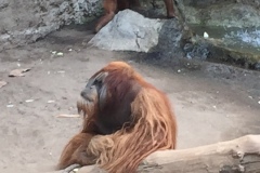 spielesymposium_2015_leipzig_5_20170525_1286500731