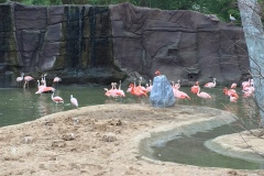 spielesymposium_2015_leipzig_6_20170525_1562047350