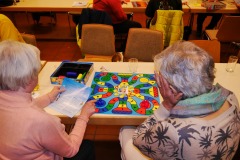 spielesymposium_2017_titisee_106_20170525_1622880051