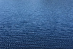 spielesymposium_2017_titisee_4_20170525_1879905468