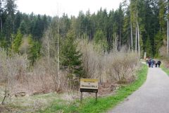 spielesymposium_2017_titisee_74_20170525_1982941914