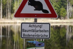 spielesymposium_2017_titisee_75_20170525_1093840596