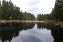 spielesymposium_2017_titisee_76_20170525_1772992181