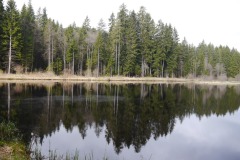 spielesymposium_2017_titisee_77_20170525_1126036978