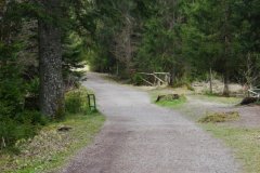 spielesymposium_2017_titisee_78_20170525_1252713959