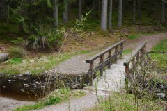 spielesymposium_2017_titisee_80_20170525_1940347299