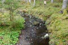 spielesymposium_2017_titisee_81_20170525_1661361964