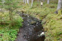 spielesymposium_2017_titisee_82_20170525_1105141512