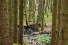 spielesymposium_2017_titisee_83_20170525_1393159869