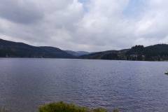 spielesymposium_2017_titisee_90_20170525_1890167141