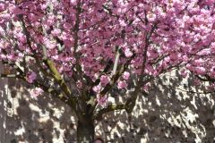 brixen_fotos_vom_spielecafe_der_generationen_20180427_1286671672