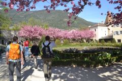 brixen_fotos_vom_spielecafe_der_generationen_20180427_1307744828