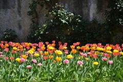 brixen_fotos_vom_spielecafe_der_generationen_20180427_1355503972