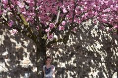 brixen_fotos_vom_spielecafe_der_generationen_20180427_1512794529