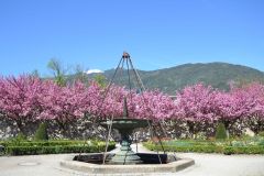 brixen_fotos_vom_spielecafe_der_generationen_20180427_1747810996