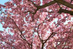 brixen_fotos_vom_spielecafe_der_generationen_20180427_1826530488