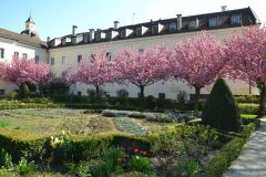 brixen_fotos_vom_spielecafe_der_generationen_20180427_1912949442