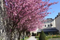 brixen_fotos_vom_spielecafe_der_generationen_20180427_2006295752