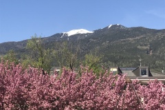 spielesymposium_2018_brixen_31_20180423_1736966972