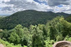 spielesymposium_2019_landau_10_20190702_1884562972