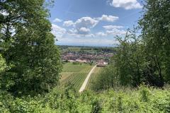 spielesymposium_2019_landau_4_20190702_1648291566