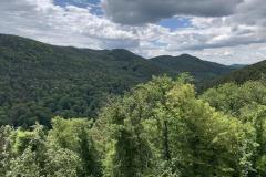 spielesymposium_2019_landau_8_20190702_1989916242