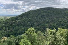 spielesymposium_2019_landau_9_20190702_1409765344