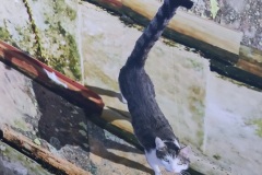 IMG_20240420_163248