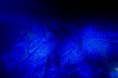 IMG_30982
