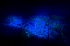 IMG_30991