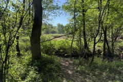 IMG_0024